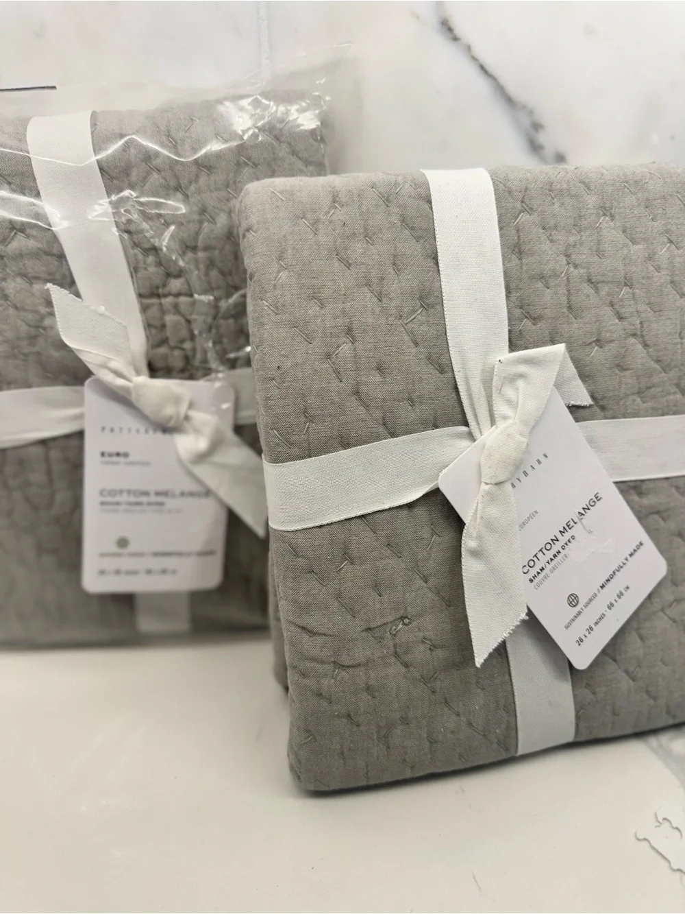 2 NIP Pottery Barn Cotton Melange European Shams